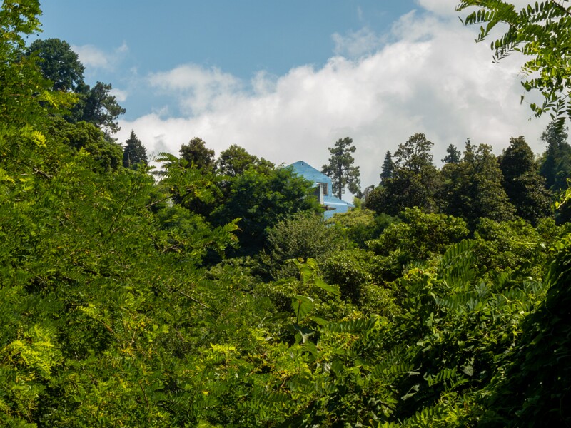 Batumi Botanical Garden  2025-08-19 1-11