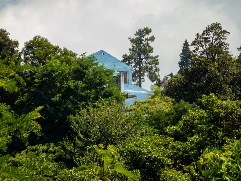 Batumi Botanical Garden  2025-08-19 1-12