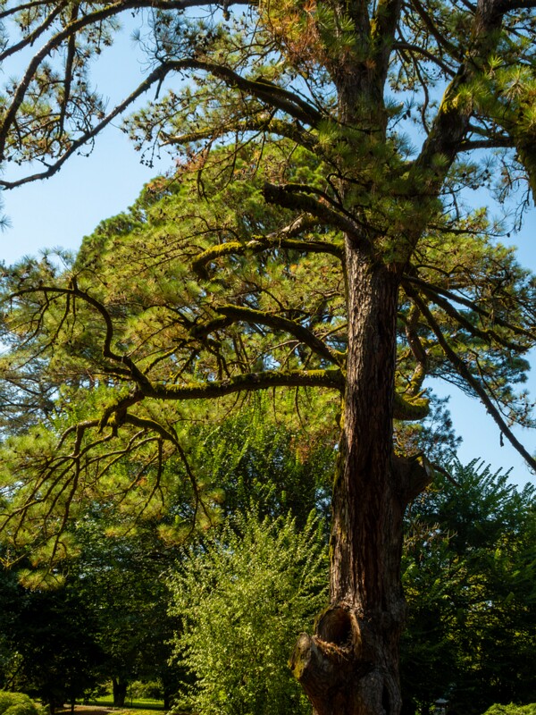 Batumi Botanical Garden  2025-08-19 1-19
