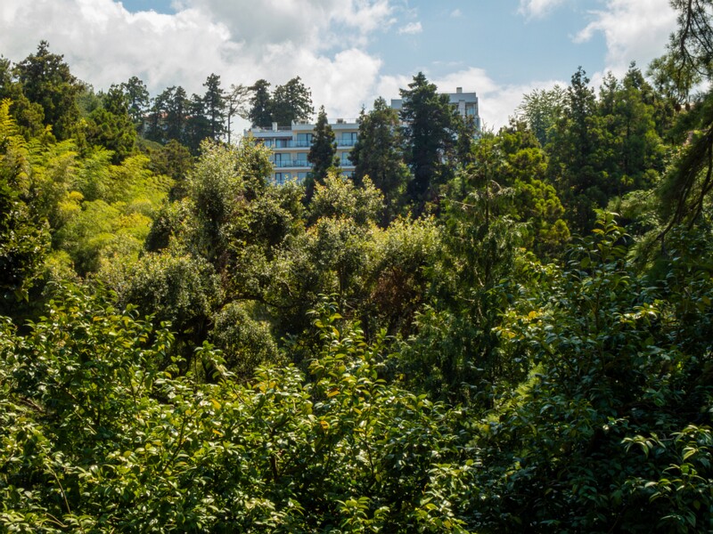 Batumi Botanical Garden  2025-08-19 1-2