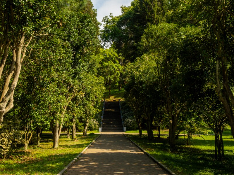 Batumi Botanical Garden  2025-08-19 1-20