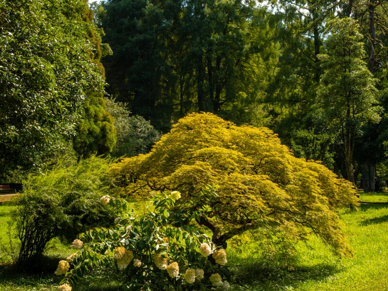 Batumi Botanical Garden  2025-08-19 1-21