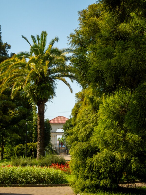 Batumi Botanical Garden  2025-08-19 1-22