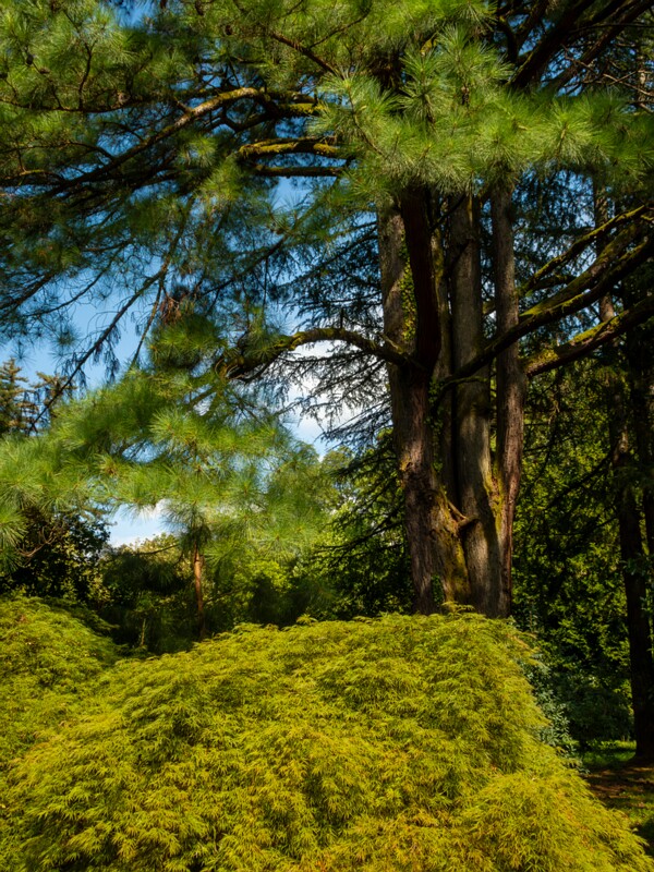 Batumi Botanical Garden  2025-08-19 1-26