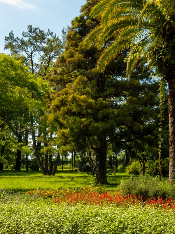 Batumi Botanical Garden  2025-08-19 1-27
