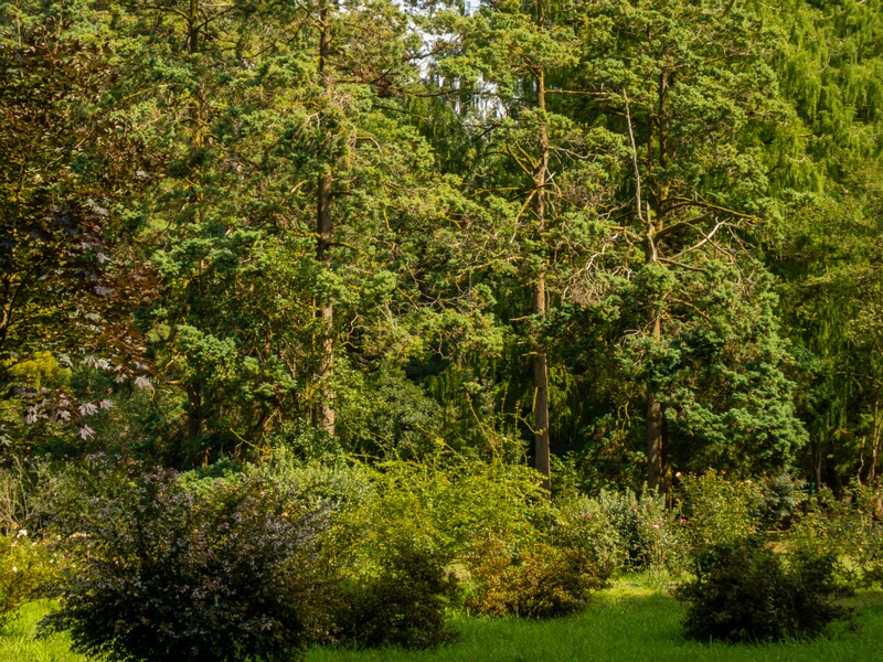 Batumi Botanical Garden  2025-08-19 1-34