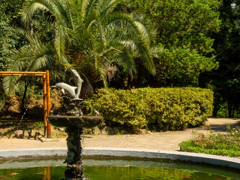 Batumi Botanical Garden  2025-08-19 1-7