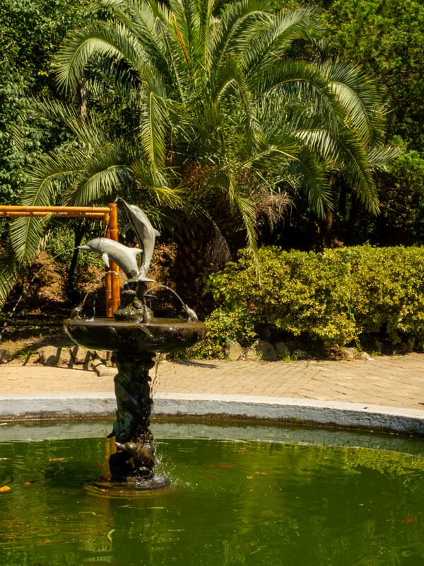 Batumi Botanical Garden  2025-08-19 1-8