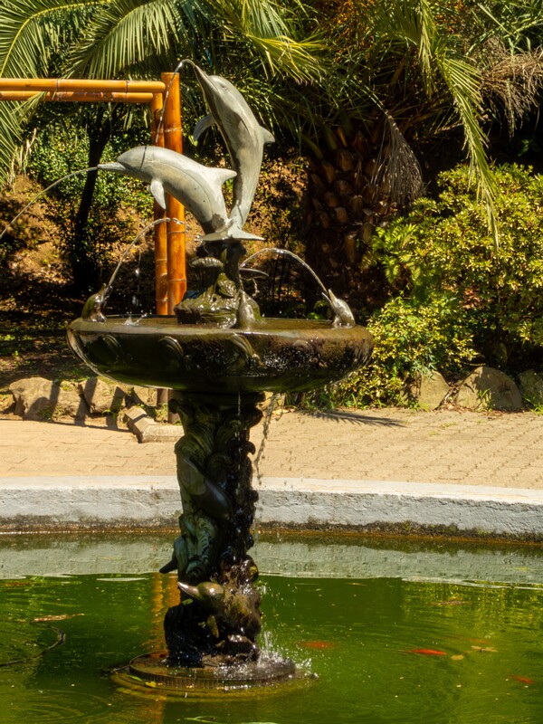 Batumi Botanical Garden  2025-08-19 1-9