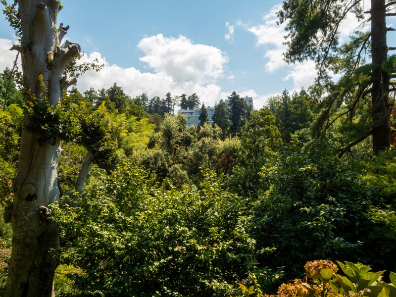 Batumi Botanical Garden  2025-08-19 1