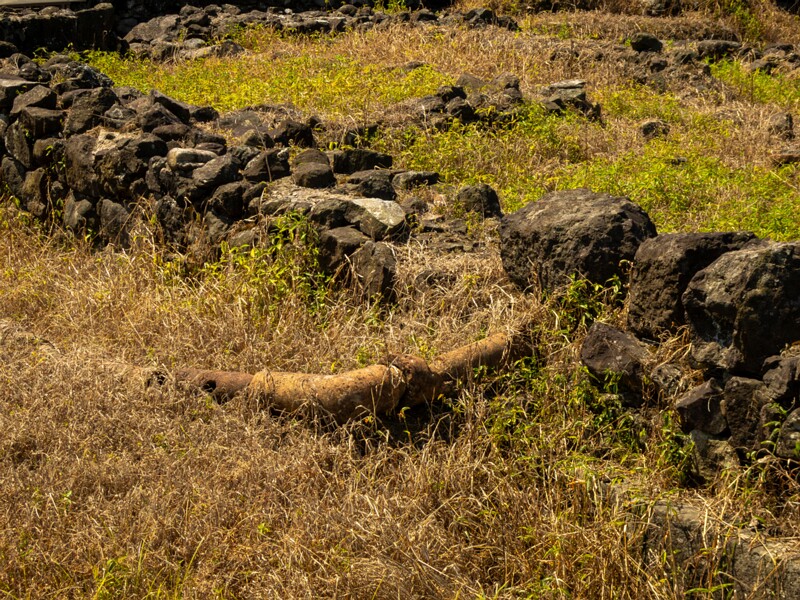 Gonio Fortress  2025-08-20 2-15