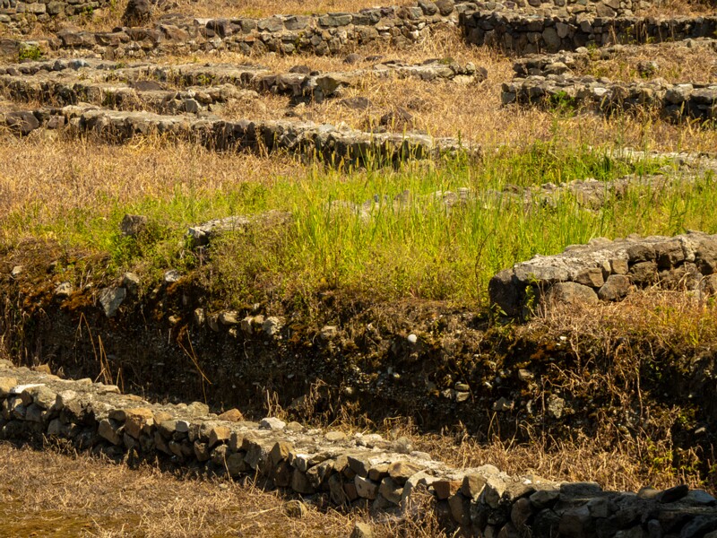 Gonio Fortress  2025-08-20 2-21