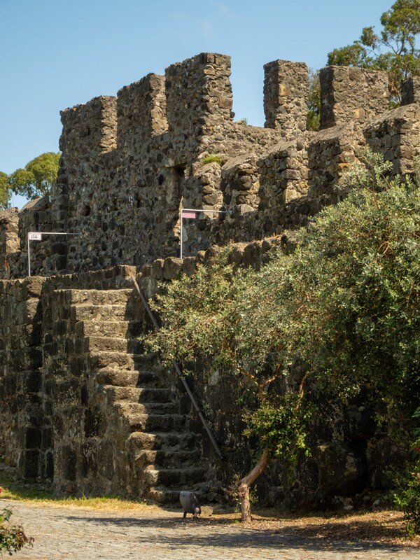 Gonio Fortress  2025-08-20 2-29