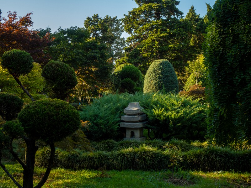 Japanese garden  2025-08-18 1-10