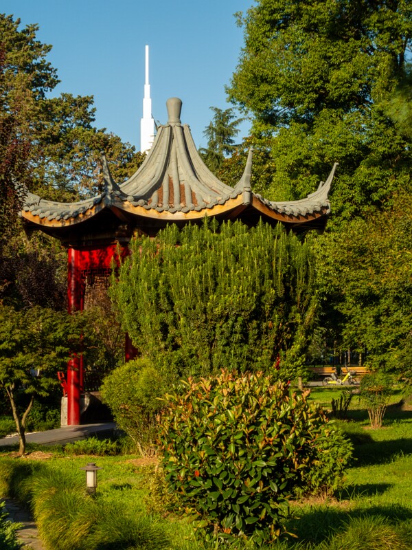 Japanese garden  2025-08-18 1-12