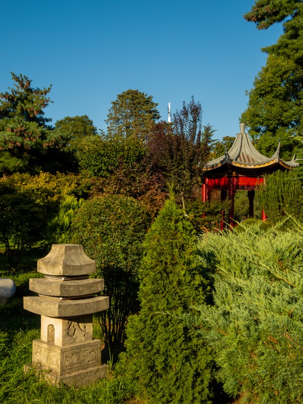 Japanese garden  2025-08-18 1-13