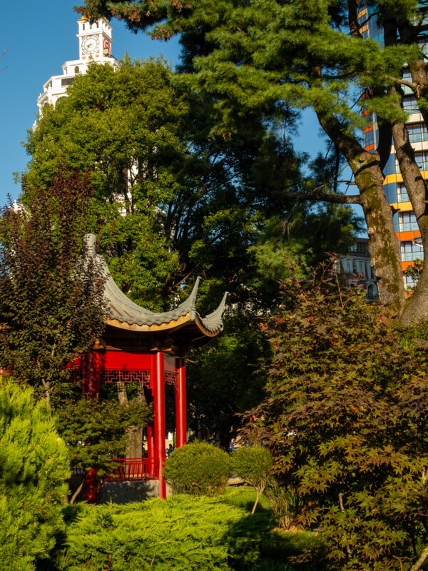 Japanese garden  2025-08-18 1-14