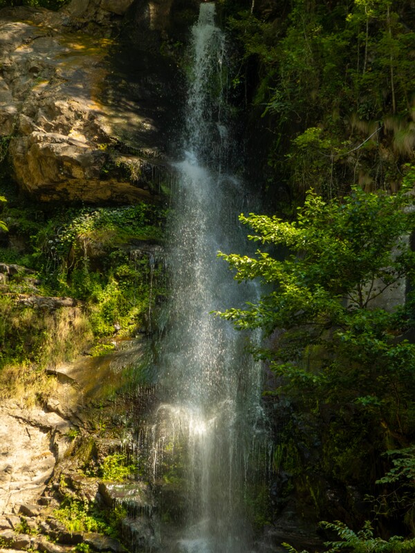Makhuntseti Waterfall  2025-08-20 1-8