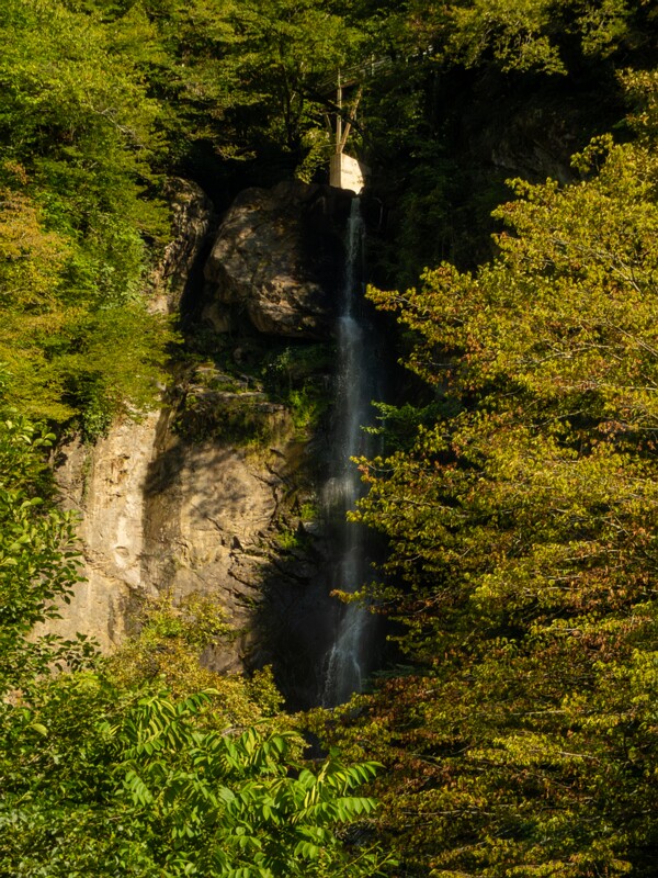 Makhuntseti Waterfall  2025-08-20 1