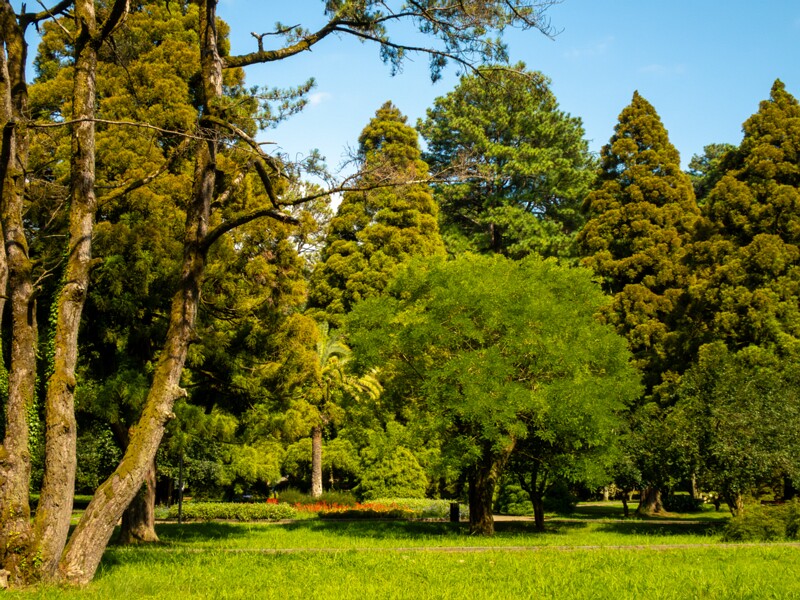 Batumi Botanical Garden